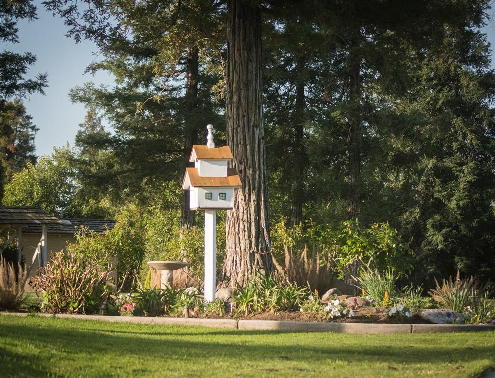 Birdhouse_on_14